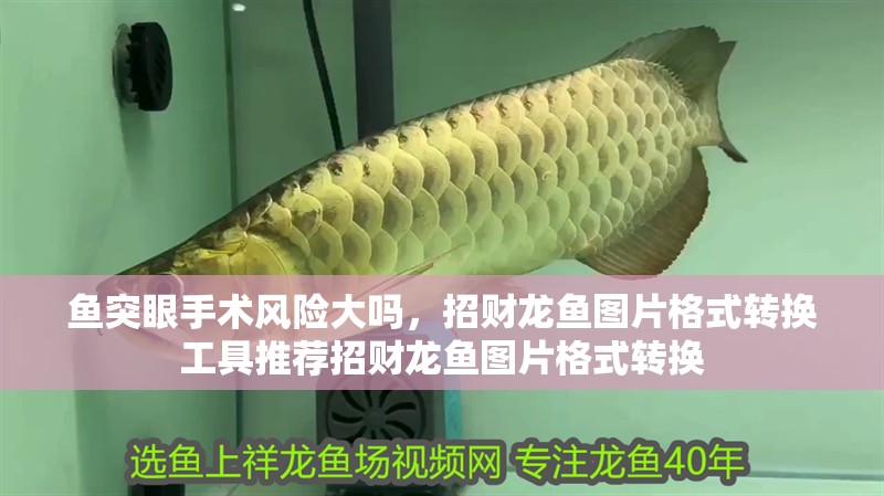 鸚鵡魚和銀龍魚混養怎樣喂食 魚突眼手術風險大嗎,招財龍魚圖片格式轉換工具推薦招財龍魚圖片格式轉換 龍魚百科 魚突眼手術風險大嗎,招財龍魚圖片格式轉換工具推薦招財龍魚圖片格式轉換 魚突眼手術風險大嗎,招財龍魚圖片格式轉換工具推薦招財龍魚圖片格式轉換 龍魚百科