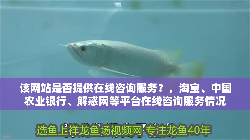 該網(wǎng)站是否提供在線咨詢服務(wù)？，淘寶、中國農(nóng)業(yè)銀行、解惑網(wǎng)等平臺(tái)在線咨詢服務(wù)情況 該網(wǎng)站是否提供在線咨詢服務(wù)？，淘寶、中國農(nóng)業(yè)銀行、解惑網(wǎng)等平臺(tái)在線咨詢服務(wù)情況 龍魚百科