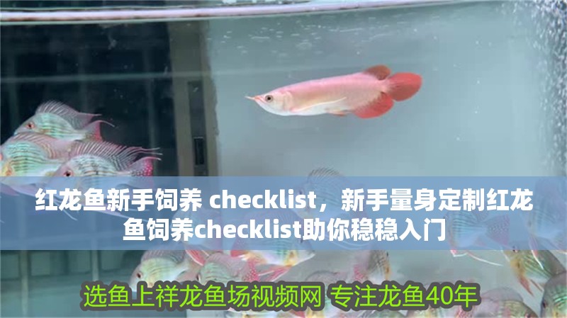 給大魚缸換水的作文:體驗給大魚缸換水的樂趣:體驗給大魚缸換水:給大魚缸換水的作文 紅龍魚新手飼養 checklist,新手量身定制紅龍魚飼養checklist助你穩穩入門 龍魚百科 紅龍魚新手飼養 checklist,新手量身定制紅龍魚飼養checklist助你穩穩入門 紅龍魚新手飼養 checklist,新手量身定制紅龍魚飼養checklist助你穩穩入門 龍魚百科