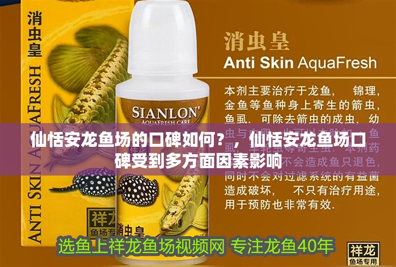 我的虎魚真菌感染了要怎么處理 仙恬安龍魚場的口碑如何?,仙恬安龍魚場口碑受到多方面因素影響 龍魚百科 仙恬安龍魚場的口碑如何?,仙恬安龍魚場口碑受到多方面因素影響 仙恬安龍魚場的口碑如何?,仙恬安龍魚場口碑受到多方面因素影響 龍魚百科