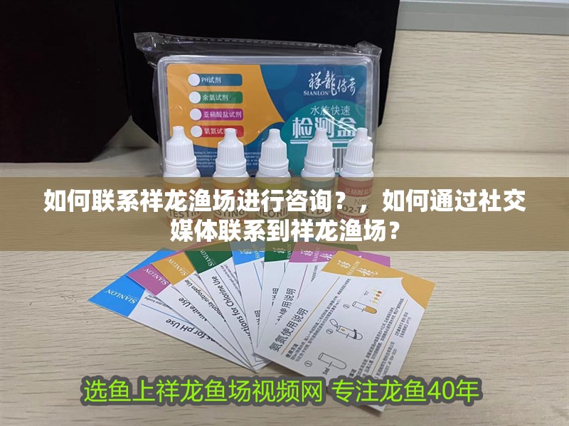 如何聯系祥龍漁場進行咨詢？，如何通過社交媒體聯系到祥龍漁場？ 如何聯系祥龍漁場進行咨詢？，如何通過社交媒體聯系到祥龍漁場？ 龍魚百科