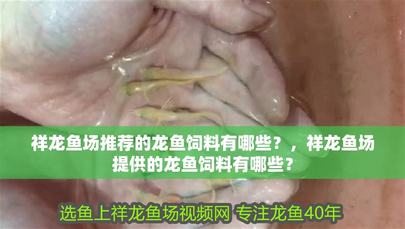 魚缸過濾器選購指南:自制魚缸過濾器魚缸上置過濾器對于養魚愛好者的必備知識 祥龍魚場推薦的龍魚飼料有哪些?,祥龍魚場提供的龍魚飼料有哪些? 龍魚百科 祥龍魚場推薦的龍魚飼料有哪些?,祥龍魚場提供的龍魚飼料有哪些? 祥龍魚場推薦的龍魚飼料有哪些?,祥龍魚場提供的龍魚飼料有哪些? 龍魚百科
