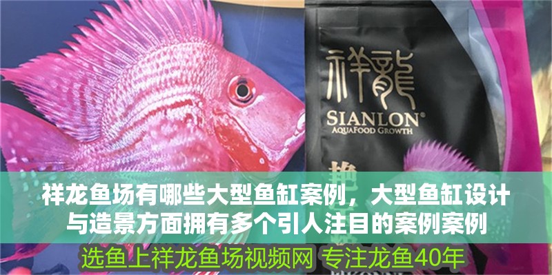 魚缸過濾器選購指南:自制魚缸過濾器魚缸上置過濾器對于養魚愛好者的必備知識 祥龍魚場有哪些大型魚缸案例,大型魚缸設計與造景方面擁有多個引人注目的案例案例 龍魚百科 祥龍魚場有哪些大型魚缸案例,大型魚缸設計與造景方面擁有多個引人注目的案例案例 祥龍魚場有哪些大型魚缸案例,大型魚缸設計與造景方面擁有多個引人注目的案例案例 龍魚百科