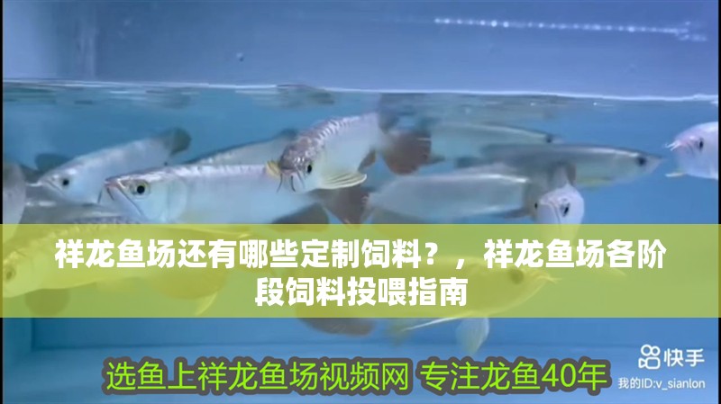 祥龍魚場還有哪些定制飼料？，祥龍魚場各階段飼料投喂指南 祥龍魚場還有哪些定制飼料？，祥龍魚場各階段飼料投喂指南 龍魚百科