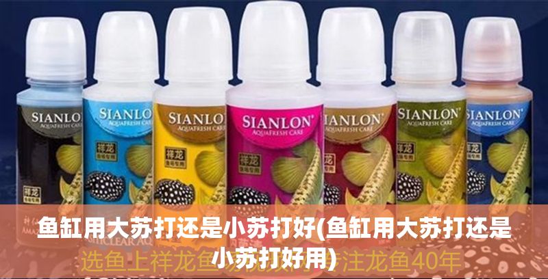 魚缸用大蘇打還是小蘇打好(魚缸用大蘇打還是小蘇打好用)