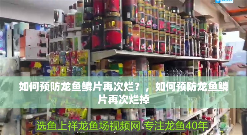 如何預防龍魚鱗片再次爛？，如何預防龍魚鱗片再次爛掉 如何預防龍魚鱗片再次爛？，如何預防龍魚鱗片再次爛掉 斯巴沃紅龍魚