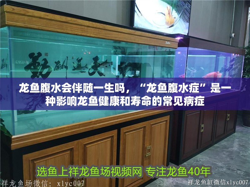 魚缸造景先放沙還是先放水(魚缸造景先鋪沙還是先放石頭) 龍魚腹水會伴隨一生嗎,“龍魚腹水癥”是一種影響龍魚健康和壽命的常見病癥 廣州正大漁場 龍魚腹水會伴隨一生嗎,“龍魚腹水癥”是一種影響龍魚健康和壽命的常見病癥 龍魚腹水會伴隨一生嗎,“龍魚腹水癥”是一種影響龍魚健康和壽命的常見病癥 廣州正大漁場