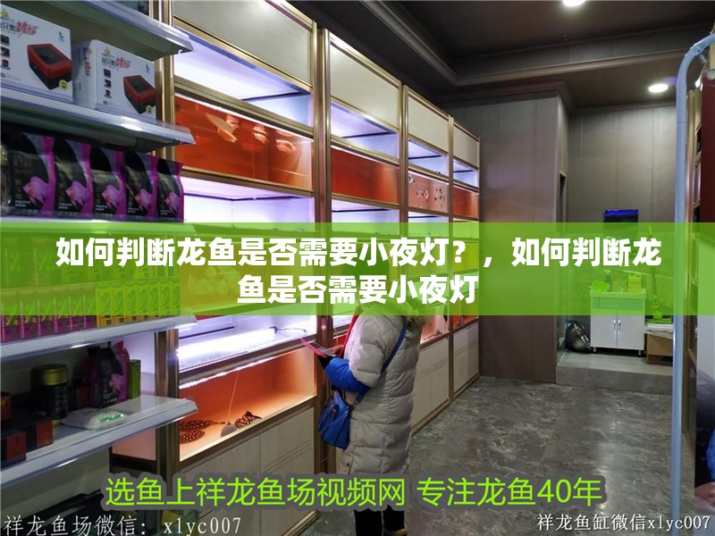 如何判斷龍魚是否需要小夜燈？，如何判斷龍魚是否需要小夜燈 如何判斷龍魚是否需要小夜燈？，如何判斷龍魚是否需要小夜燈 廣州正大漁場