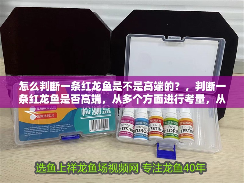 怎么判斷一條紅龍魚是不是高端的？，判斷一條紅龍魚是否高端，從多個方面進行考量，從多方面進行考量