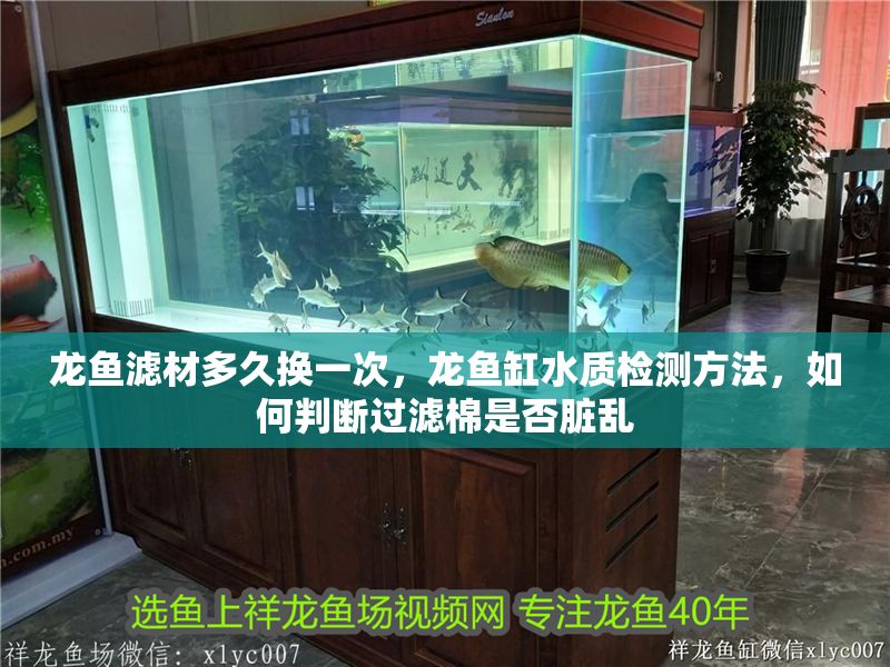 龍魚濾材多久換一次，龍魚缸水質檢測方法，如何判斷過濾棉是否臟亂