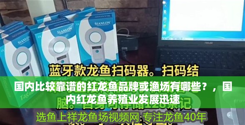 詳細(xì)閱讀:國(guó)內(nèi)比較靠譜的紅龍魚(yú)品牌或漁場(chǎng)有哪些?,國(guó)內(nèi)紅龍魚(yú)養(yǎng)殖業(yè)發(fā)展迅速 國(guó)內(nèi)比較靠譜的紅龍魚(yú)品牌或漁場(chǎng)有哪些?,國(guó)內(nèi)紅龍魚(yú)養(yǎng)殖業(yè)發(fā)展迅速