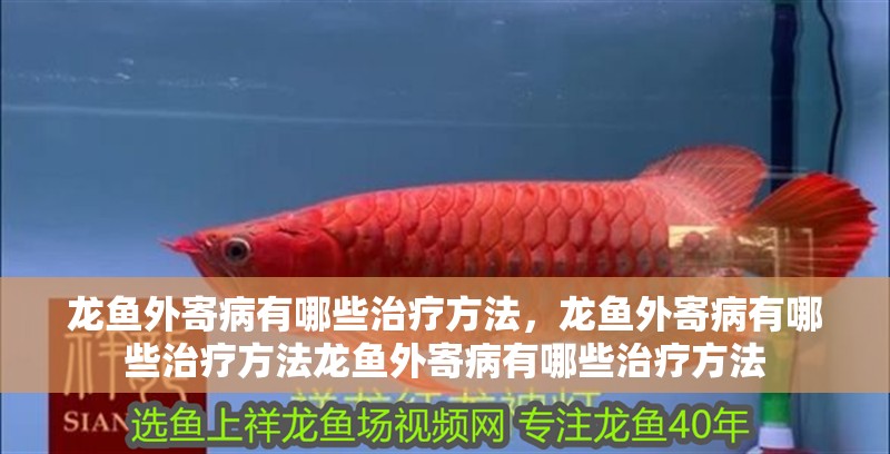 龍魚外寄病有哪些治療方法，龍魚外寄病有哪些治療方法龍魚外寄病有哪些治療方法 龍魚外寄病有哪些治療方法，龍魚外寄病有哪些治療方法龍魚外寄病有哪些治療方法 龍魚百科