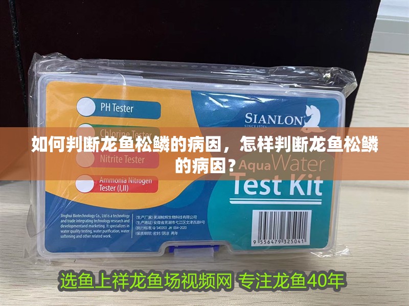如何判斷龍魚松鱗的病因，怎樣判斷龍魚松鱗的病因？ 如何判斷龍魚松鱗的病因，怎樣判斷龍魚松鱗的病因？ 龍魚百科