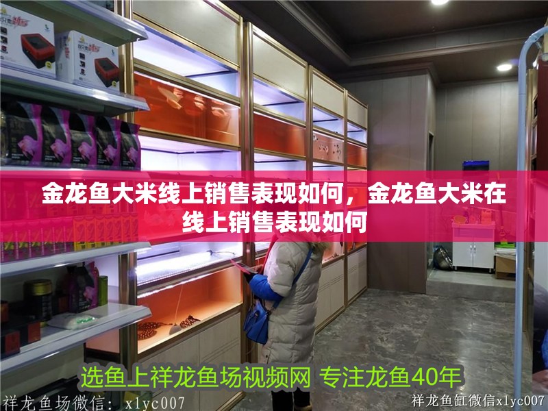 龍魚干蝦有營(yíng)養(yǎng)嗎 金龍魚大米線上銷售表現(xiàn)如何,金龍魚大米在線上銷售表現(xiàn)如何 龍魚百科 金龍魚大米線上銷售表現(xiàn)如何,金龍魚大米在線上銷售表現(xiàn)如何 金龍魚大米線上銷售表現(xiàn)如何,金龍魚大米在線上銷售表現(xiàn)如何 龍魚百科