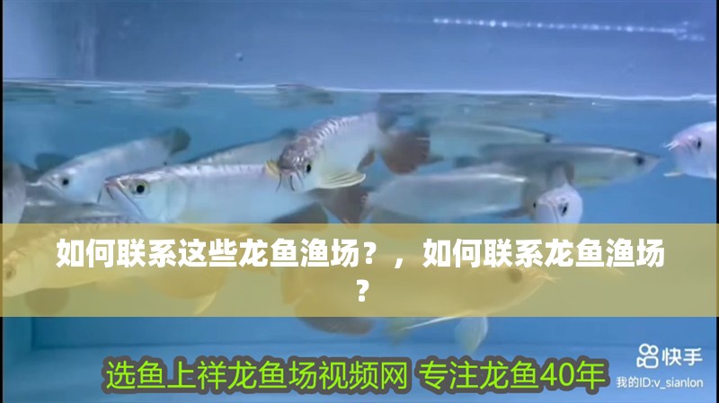 魚缸造景先放沙還是先放水(魚缸造景先鋪沙還是先放石頭) 如何聯系這些龍魚漁場?,如何聯系龍魚漁場? 龍魚百科 如何聯系這些龍魚漁場?,如何聯系龍魚漁場? 如何聯系這些龍魚漁場?,如何聯系龍魚漁場? 龍魚百科