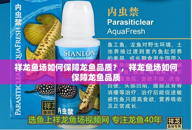 祥龍魚場(chǎng)如何保障龍魚品質(zhì)？，祥龍魚場(chǎng)如何保障龍魚品質(zhì)