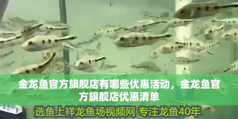 金龍魚官方旗艦店有哪些優惠活動，金龍魚官方旗艦店優惠清單 金龍魚官方旗艦店有哪些優惠活動，金龍魚官方旗艦店優惠清單 龍魚百科