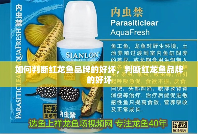 魚缸用增氧泵價格是多少:魚缸增氧機-xtrac增氧機-xtrac增氧機 如何判斷紅龍魚品牌的好壞,判斷紅龍魚品牌的好壞 龍魚百科 如何判斷紅龍魚品牌的好壞,判斷紅龍魚品牌的好壞 如何判斷紅龍魚品牌的好壞,判斷紅龍魚品牌的好壞 龍魚百科