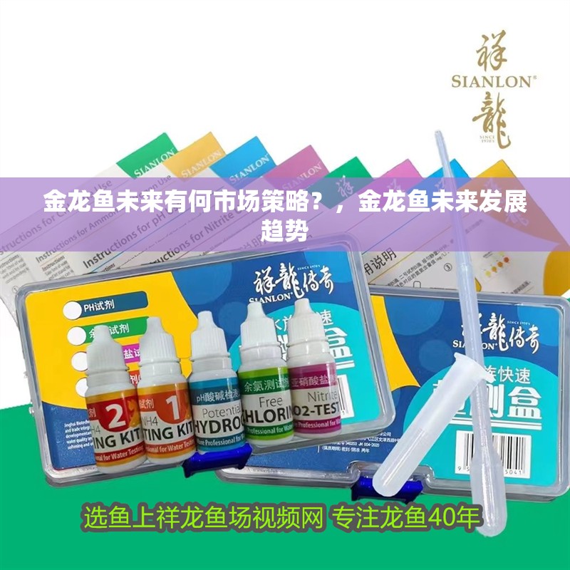 給大魚缸換水的作文:體驗給大魚缸換水的樂趣:體驗給大魚缸換水:給大魚缸換水的作文 金龍魚未來有何市場策略?,金龍魚未來發展趨勢 龍魚百科 金龍魚未來有何市場策略?,金龍魚未來發展趨勢 金龍魚未來有何市場策略?,金龍魚未來發展趨勢 龍魚百科