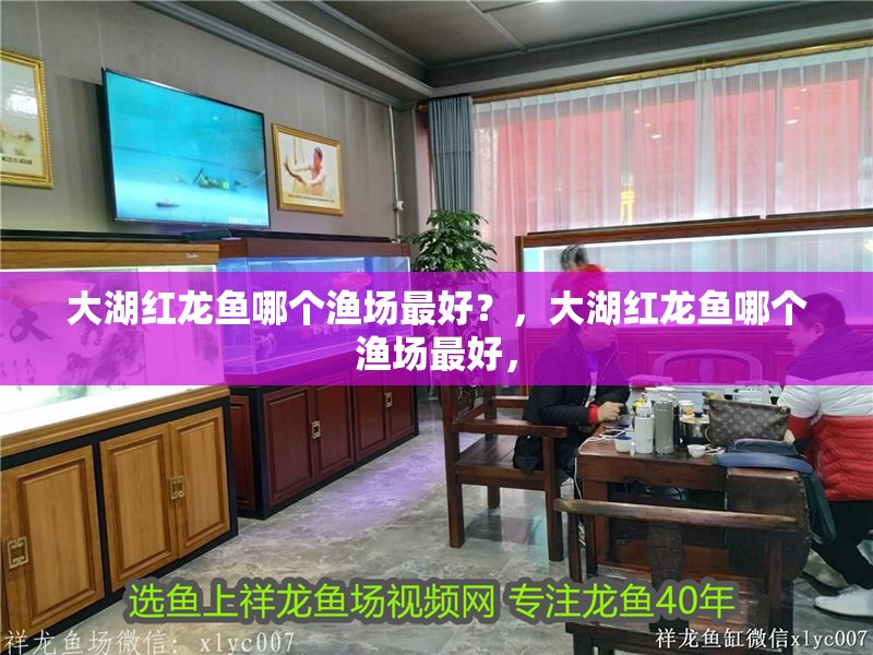 魚缸過(guò)濾器選購(gòu)指南:自制魚缸過(guò)濾器魚缸上置過(guò)濾器對(duì)于養(yǎng)魚愛(ài)好者的必備知識(shí) 大湖紅龍魚哪個(gè)漁場(chǎng)最好?,大湖紅龍魚哪個(gè)漁場(chǎng)最好, 龍魚百科 大湖紅龍魚哪個(gè)漁場(chǎng)最好?,大湖紅龍魚哪個(gè)漁場(chǎng)最好, 大湖紅龍魚哪個(gè)漁場(chǎng)最好?,大湖紅龍魚哪個(gè)漁場(chǎng)最好, 龍魚百科