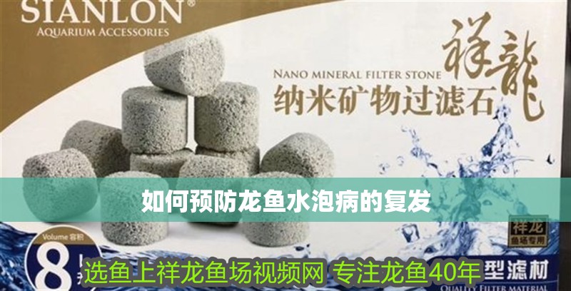 如何預防龍魚水泡病的復發 如何預防龍魚水泡病的復發 龍魚百科