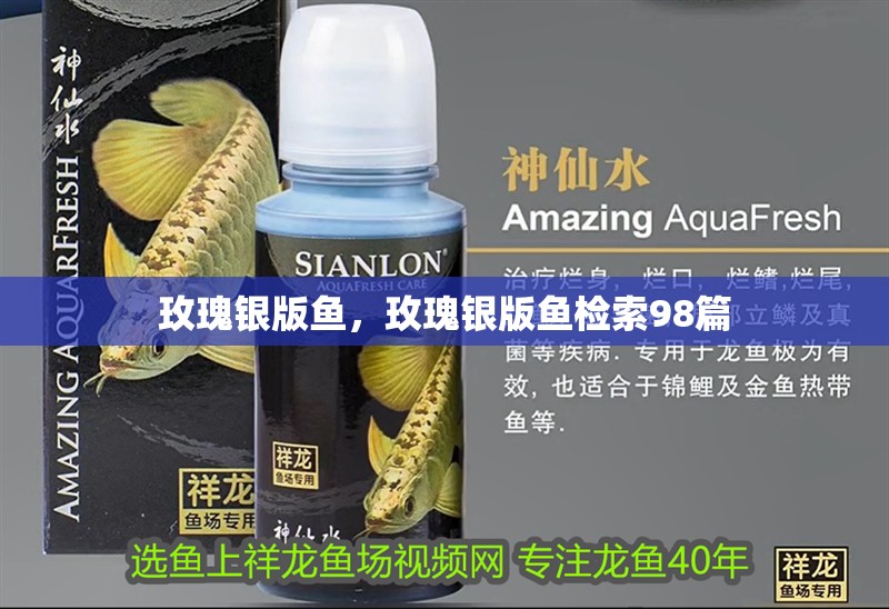 玫瑰銀版魚，玫瑰銀版魚檢索98篇 玫瑰銀版魚，玫瑰銀版魚檢索98篇 龍魚百科