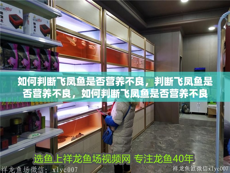 如何判斷飛鳳魚是否營養不良，判斷飛鳳魚是否營養不良，如何判斷飛鳳魚是否營養不良