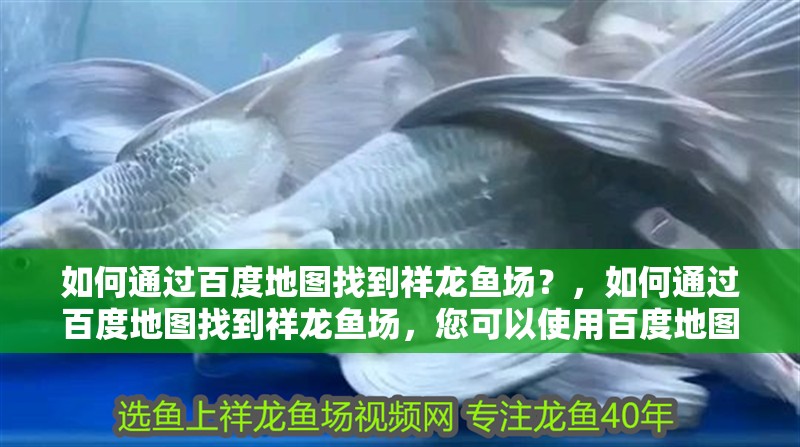 如何通過百度地圖找到祥龍魚場？，如何通過百度地圖找到祥龍魚場，您可以使用百度地圖搜索功能