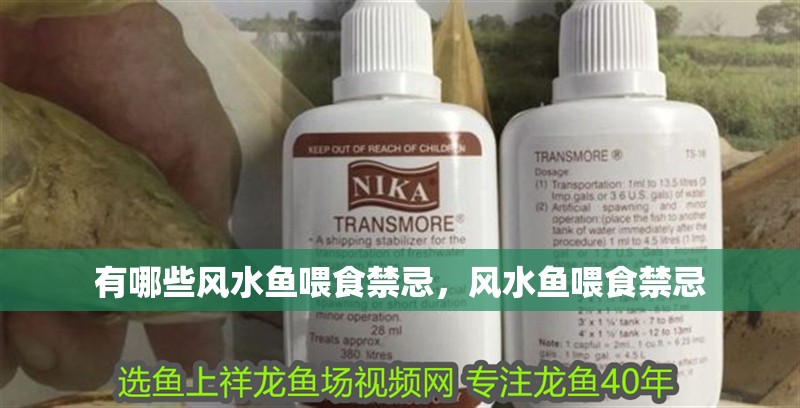 有哪些風(fēng)水魚喂食禁忌，風(fēng)水魚喂食禁忌