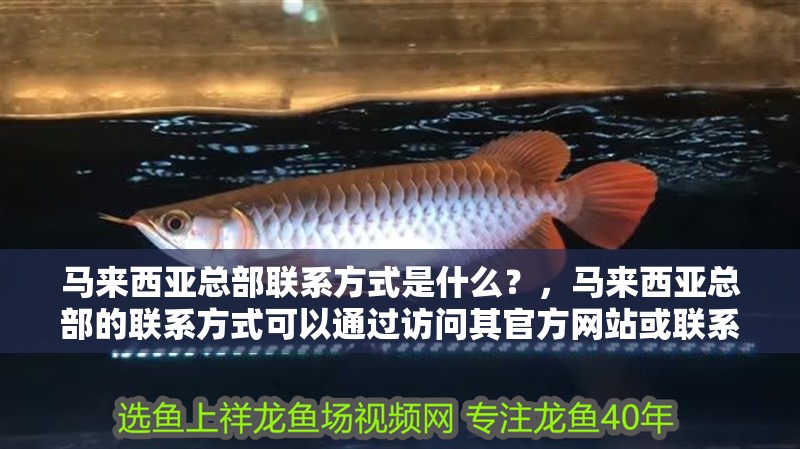 馬來西亞總部聯系方式是什么？，馬來西亞總部的聯系方式可以通過訪問其官方網站或聯系當地的商業聯絡部門來獲取 馬來西亞總部聯系方式是什么？，馬來西亞總部的聯系方式可以通過訪問其官方網站或聯系當地的商業聯絡部門來獲取 龍魚百科