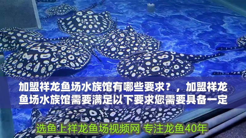 加盟祥龍魚場水族館有哪些要求？，加盟祥龍魚場水族館需要滿足以下要求您需要具備一定的經濟實力和商業經驗 加盟祥龍魚場水族館有哪些要求？，加盟祥龍魚場水族館需要滿足以下要求您需要具備一定的經濟實力和商業經驗 龍魚百科