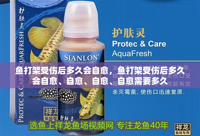 魚打架受傷后多久會自愈，魚打架受傷后多久會自愈、自愈、自愈、自愈需要多久 魚打架受傷后多久會自愈，魚打架受傷后多久會自愈、自愈、自愈、自愈需要多久 龍魚百科