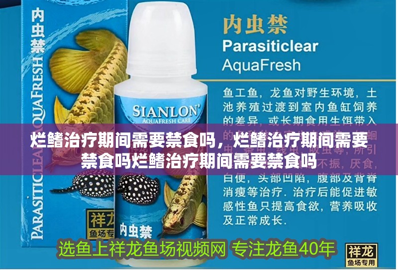 魚缸過濾器選購指南:自制魚缸過濾器魚缸上置過濾器對于養魚愛好者的必備知識 爛鰭治療期間需要禁食嗎,爛鰭治療期間需要禁食嗎爛鰭治療期間需要禁食嗎 龍魚百科 爛鰭治療期間需要禁食嗎,爛鰭治療期間需要禁食嗎爛鰭治療期間需要禁食嗎 爛鰭治療期間需要禁食嗎,爛鰭治療期間需要禁食嗎爛鰭治療期間需要禁食嗎 龍魚百科