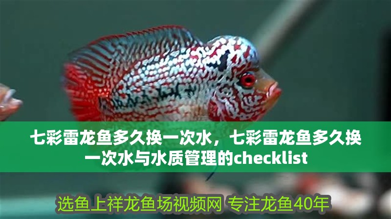 七彩雷龍魚多久換一次水，七彩雷龍魚多久換一次水與水質管理的checklist 七彩雷龍魚多久換一次水，七彩雷龍魚多久換一次水與水質管理的checklist 龍魚百科