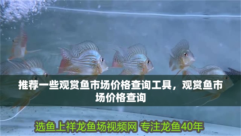 魚缸用增氧泵價格是多少:魚缸增氧機-xtrac增氧機-xtrac增氧機 推薦一些觀賞魚市場價格查詢工具,觀賞魚市場價格查詢 龍魚百科 推薦一些觀賞魚市場價格查詢工具,觀賞魚市場價格查詢 推薦一些觀賞魚市場價格查詢工具,觀賞魚市場價格查詢 龍魚百科