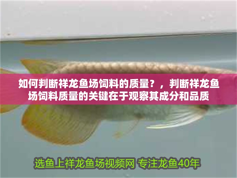 龍魚干蝦有營養嗎 如何判斷祥龍魚場飼料的質量?,判斷祥龍魚場飼料質量的關鍵在于觀察其成分和品質 龍魚百科 如何判斷祥龍魚場飼料的質量?,判斷祥龍魚場飼料質量的關鍵在于觀察其成分和品質 如何判斷祥龍魚場飼料的質量?,判斷祥龍魚場飼料質量的關鍵在于觀察其成分和品質 龍魚百科