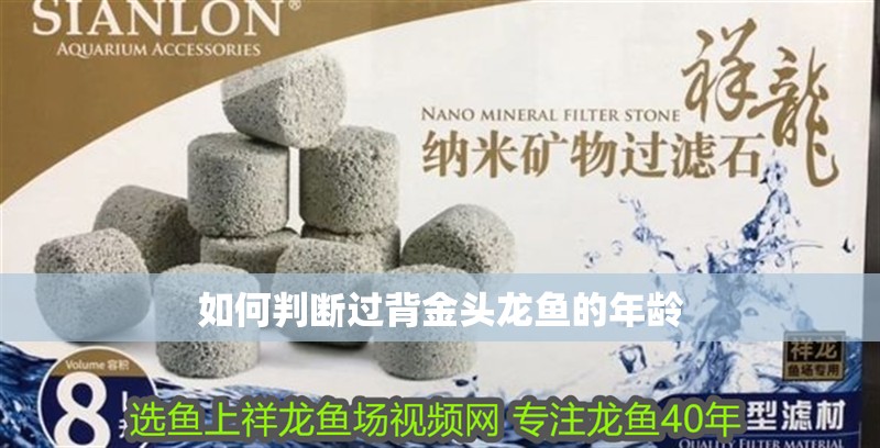 魚缸用增氧泵價格是多少:魚缸增氧機-xtrac增氧機-xtrac增氧機 如何判斷過背金頭龍魚的年齡 龍魚百科 如何判斷過背金頭龍魚的年齡 如何判斷過背金頭龍魚的年齡 龍魚百科