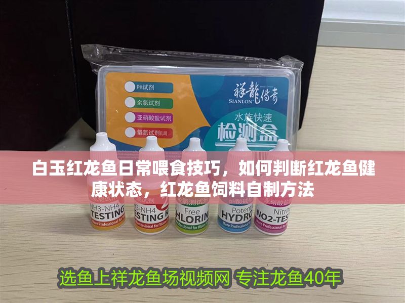 白玉紅龍魚日常喂食技巧，如何判斷紅龍魚健康狀態(tài)，紅龍魚飼料自制方法 白玉紅龍魚日常喂食技巧，如何判斷紅龍魚健康狀態(tài)，紅龍魚飼料自制方法 龍魚百科 第2張