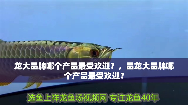 龍大品牌哪個(gè)產(chǎn)品最受歡迎？，品龍大品牌哪個(gè)產(chǎn)品最受歡迎？ 龍大品牌哪個(gè)產(chǎn)品最受歡迎？，品龍大品牌哪個(gè)產(chǎn)品最受歡迎？ 龍魚百科