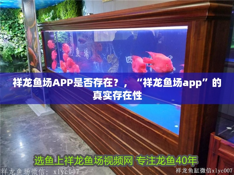 祥龍魚場APP是否存在？，“祥龍魚場app”的真實存在性