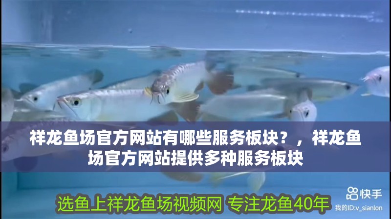 祥龍魚場官方網站有哪些服務板塊？，祥龍魚場官方網站提供多種服務板塊 祥龍魚場官方網站有哪些服務板塊？，祥龍魚場官方網站提供多種服務板塊 龍魚百科