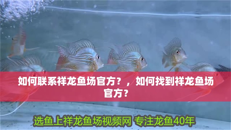 如何聯系祥龍魚場官方？，如何找到祥龍魚場官方？