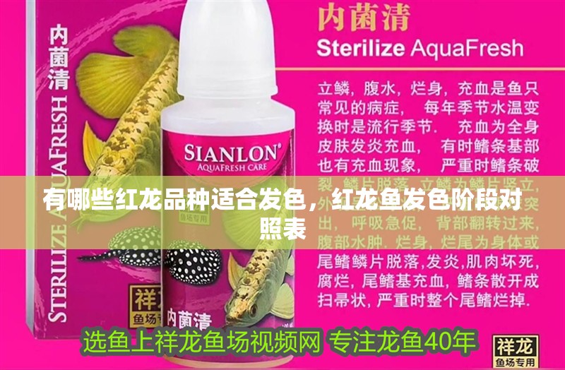 有哪些紅龍品種適合發(fā)色，紅龍魚發(fā)色階段對照表