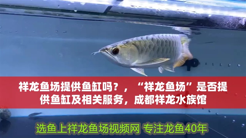 給大魚缸換水的作文:體驗給大魚缸換水的樂趣:體驗給大魚缸換水:給大魚缸換水的作文 祥龍魚場提供魚缸嗎?,“祥龍魚場”是否提供魚缸及相關服務,成都祥龍水族館 龍魚百科 祥龍魚場提供魚缸嗎?,“祥龍魚場”是否提供魚缸及相關服務,成都祥龍水族館 祥龍魚場提供魚缸嗎?,“祥龍魚場”是否提供魚缸及相關服務,成都祥龍水族館 龍魚百科