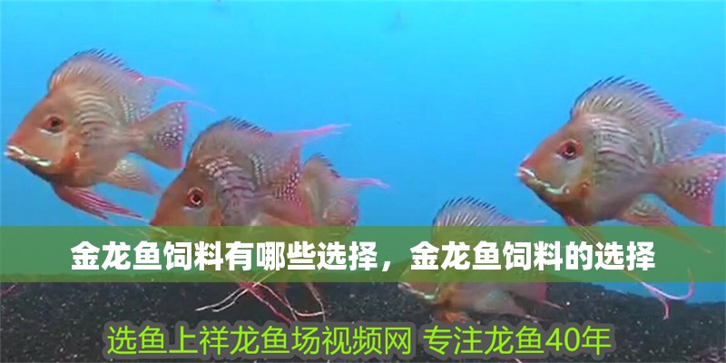 魚缸用增氧泵價格是多少:魚缸增氧機-xtrac增氧機-xtrac增氧機 金龍魚飼料有哪些選擇,金龍魚飼料的選擇 龍魚百科 金龍魚飼料有哪些選擇,金龍魚飼料的選擇 金龍魚飼料有哪些選擇,金龍魚飼料的選擇 龍魚百科