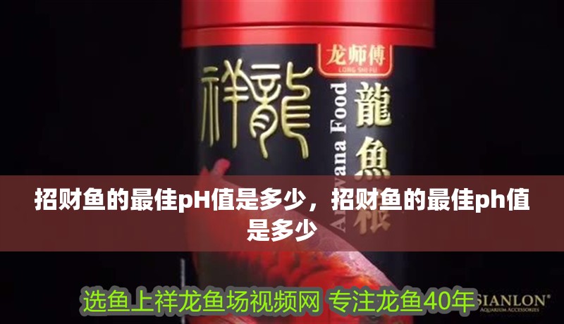 招財魚的最佳pH值是多少，招財魚的最佳ph值是多少