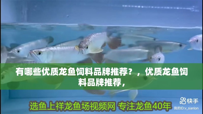 有哪些優(yōu)質(zhì)龍魚飼料品牌推薦？，優(yōu)質(zhì)龍魚飼料品牌推薦， 有哪些優(yōu)質(zhì)龍魚飼料品牌推薦？，優(yōu)質(zhì)龍魚飼料品牌推薦， 龍魚百科