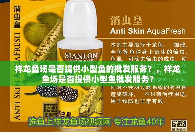 祥龍魚場是否提供小型魚的批發(fā)服務(wù)？，祥龍魚場是否提供小型魚批發(fā)服務(wù)？