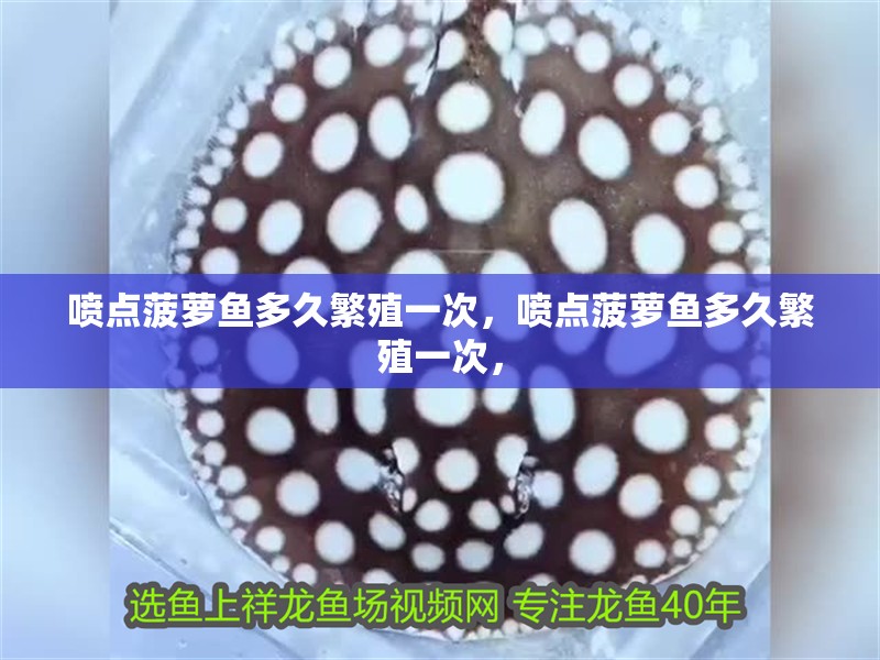 我的虎魚真菌感染了要怎么處理 噴點菠蘿魚多久繁殖一次,噴點菠蘿魚多久繁殖一次, 龍魚百科 噴點菠蘿魚多久繁殖一次,噴點菠蘿魚多久繁殖一次, 噴點菠蘿魚多久繁殖一次,噴點菠蘿魚多久繁殖一次, 龍魚百科