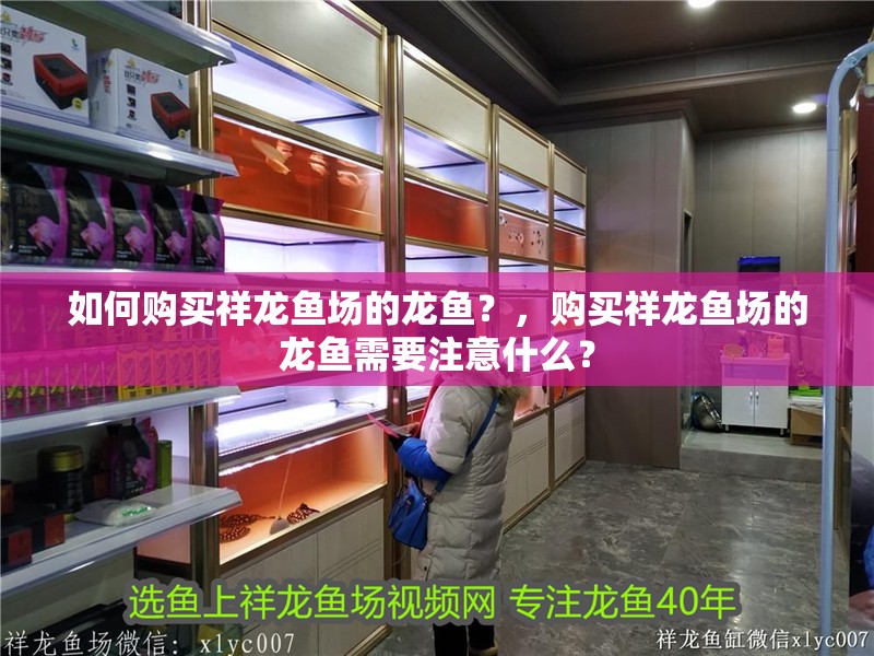 如何購買祥龍魚場的龍魚？，購買祥龍魚場的龍魚需要注意什么？ 如何購買祥龍魚場的龍魚？，購買祥龍魚場的龍魚需要注意什么？ 龍魚百科